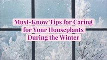 9 Must-Know Tips for Caring for Your Houseplants During the Winter