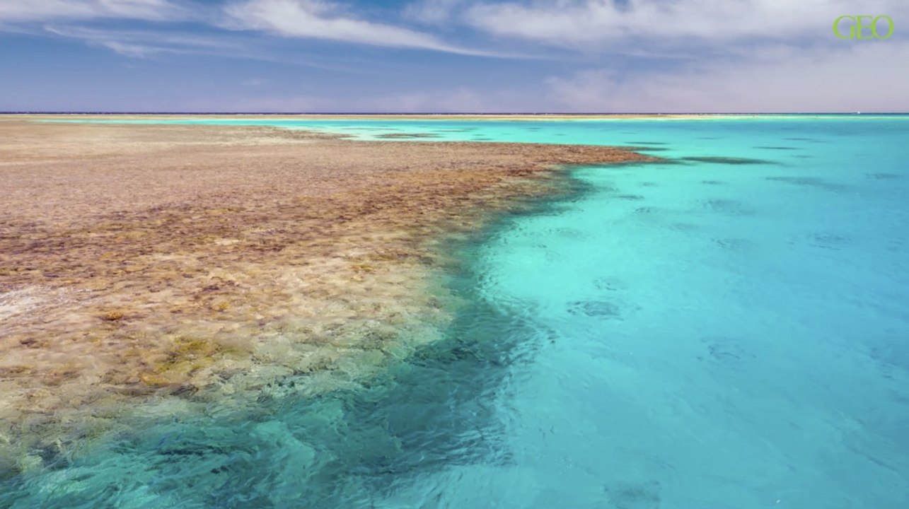 Mer Rouge pourquoi s'appelletelle ainsi ? Vidéo Dailymotion