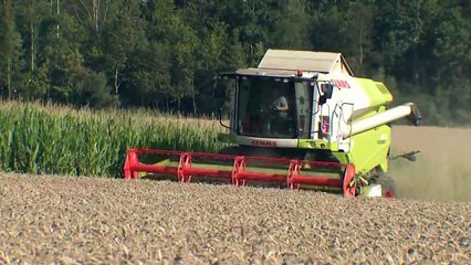 VRAI ou FAKE. Climat : l'agriculture capte-t-elle vraiment le CO2 ?