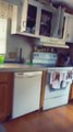 Woman Freaks Out as Cupboard Doors Fling Open by Themselves in the Kitchen