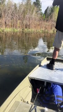 Dog Named Kevin Jumps to Kiss Fish