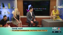 California Paws Rescue Interview