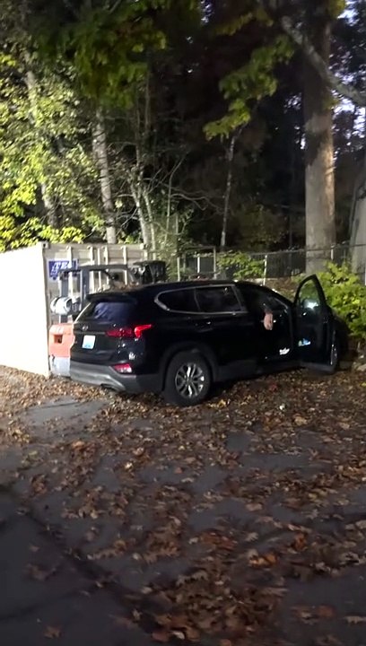 Bear Opens Car Door For a Snack in Tennessee