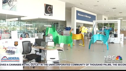 NBCares Silver Linings Barones and Pet Adoption