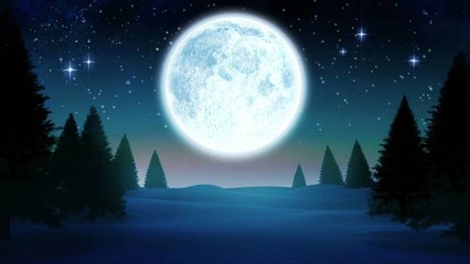 This Kentucky Aquarium Celebrates Christmas with a Scuba Diving Santa