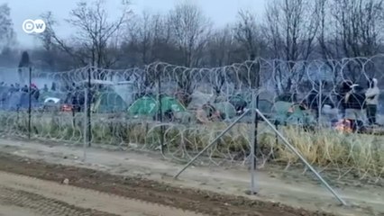 Между польскими и белорусскими пограничниками: беженцы у границ ЕС (10.11.2021)