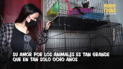 Mujer vive con 200 gatos tras rescatarlos y salvarles la vida en las calles de Tailandia