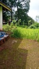 Old house  memories - Kartik Gawade