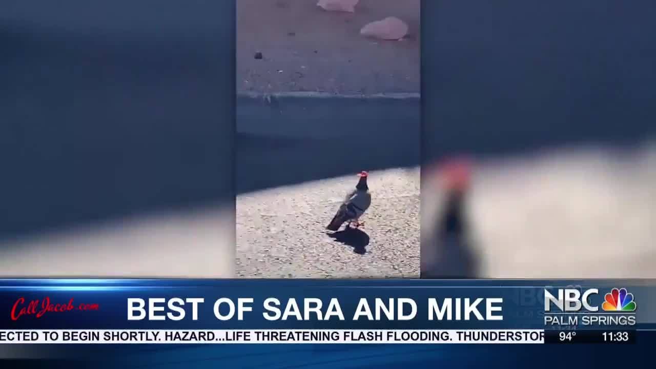 Mike and Sara's Last Night
