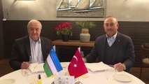 Son dakika haberleri! Dışişleri Bakanı Çavuşoğlu, Özbekistan Dışişleri Bakanı Kamilov ile görüntü