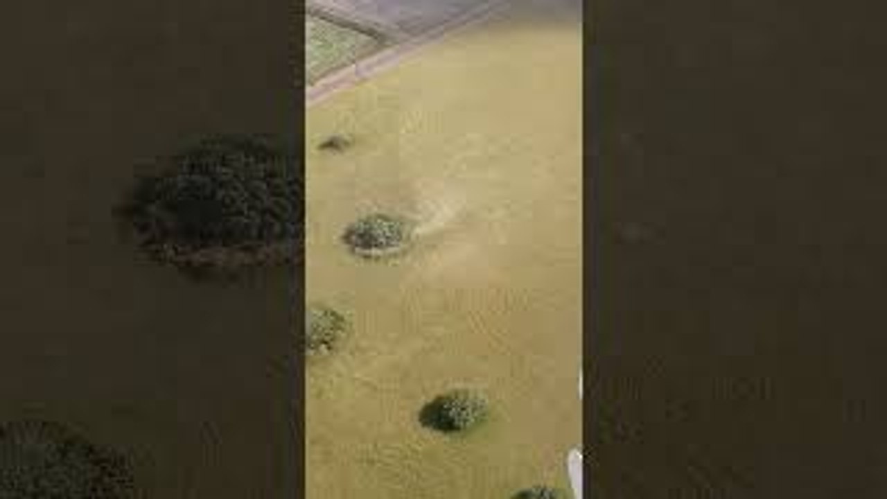 Whirlwinds Spin Grass Below While Working in Tower