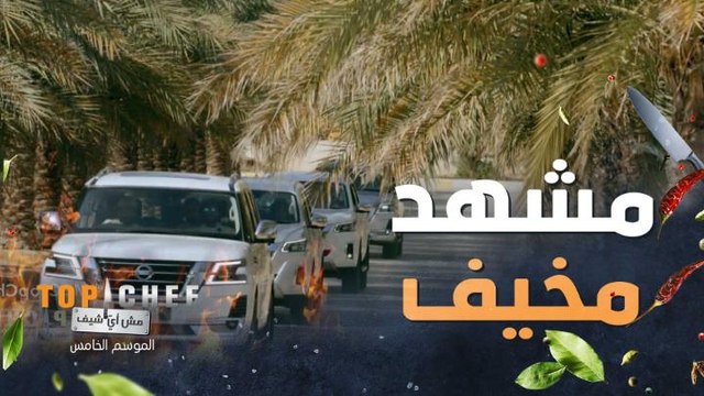 رحلة الشيف كانت ممتعة ولكن نهايتها كانت مخيفة لما شافوا مشهد السكاكين