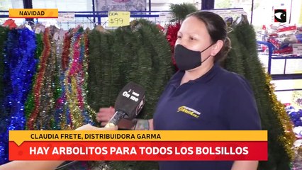 Hay arbolitos para todos los bolsillos