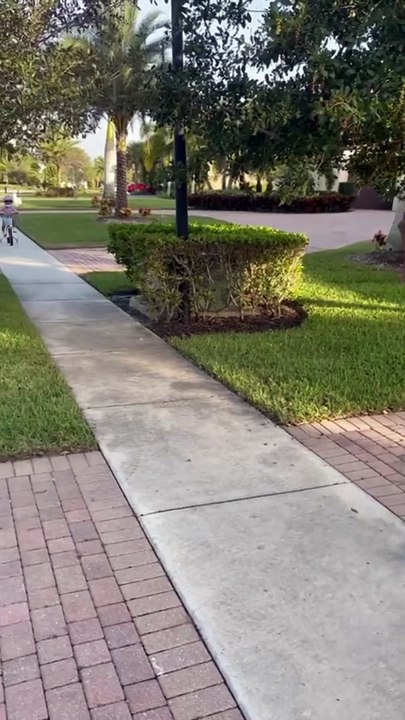 Serena Williams et sa fille Olympia devant son père Richard.