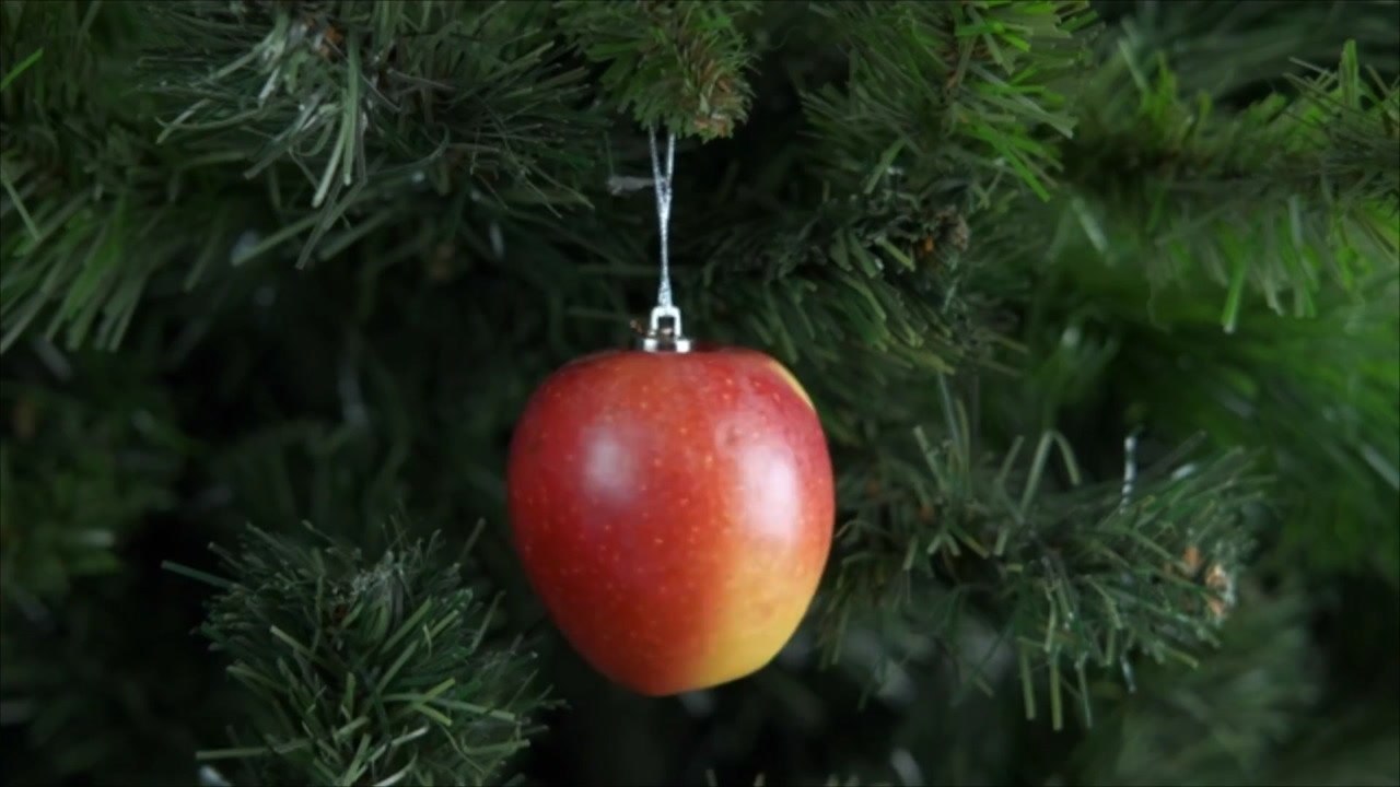 Creative Ways to Decorate Your Christmas Tree w...