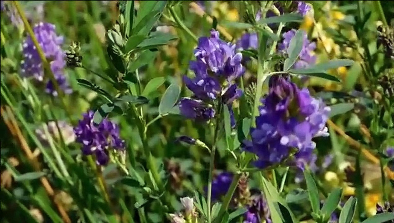 الاستغفار 1