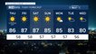 Sunny, with a high of 86 for Veterans Day Thursday