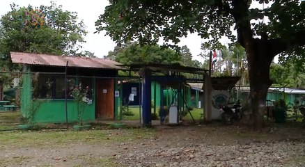 mqn-- Escuela de Talamanca rescata lenguaje indígena-101121