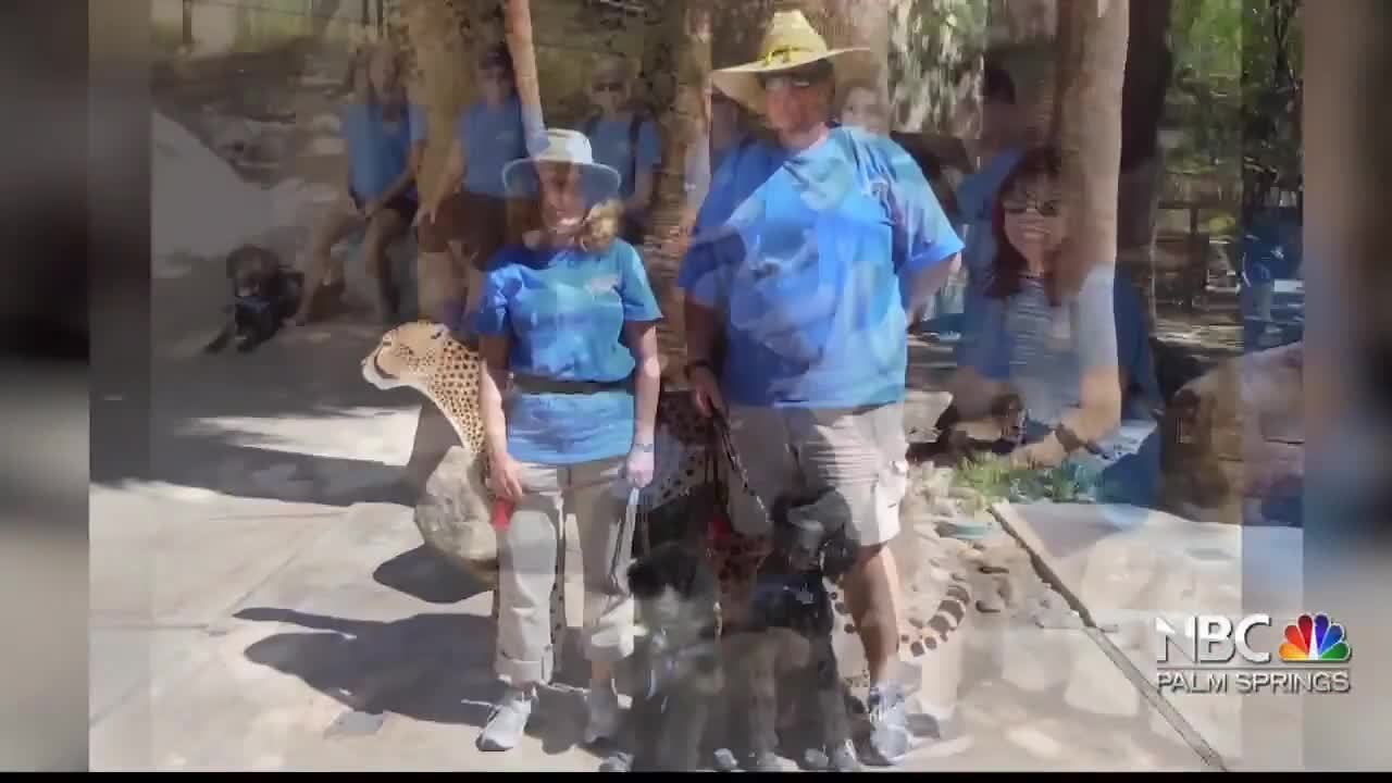 12 Months 12 Causes - Guide Dogs of the Desert