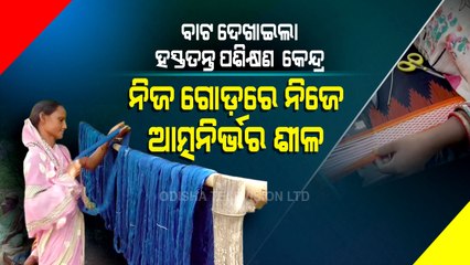 Special Story | Financial Independence | Udala Women Sets Example | Odisha