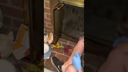 Squirrel Rescue Goes Painfully Wrong