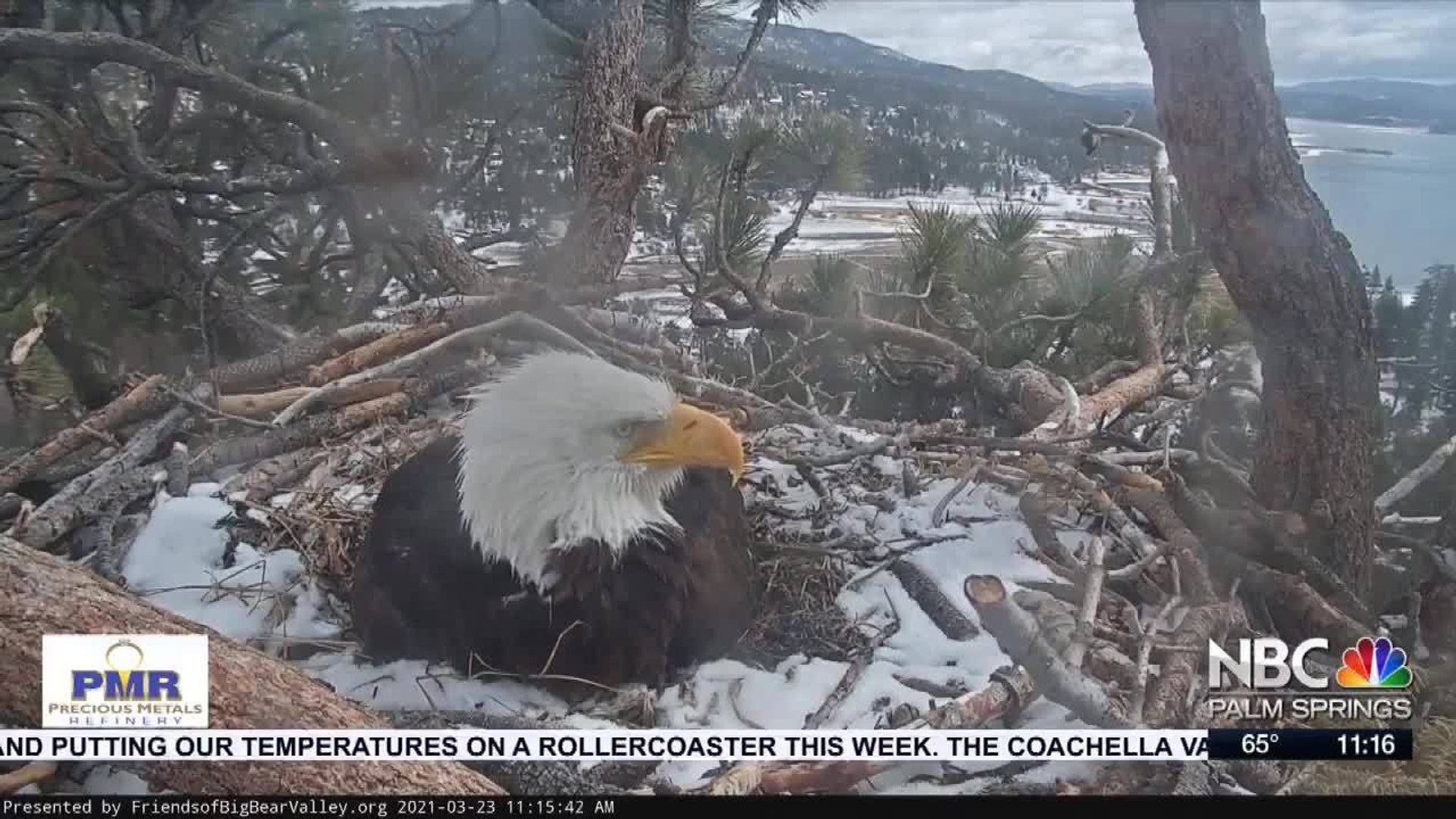 Big Bear Bald Eagle Loses One of Two Eggs
