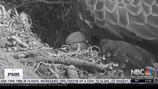 KMIR NEWS 11am 031921