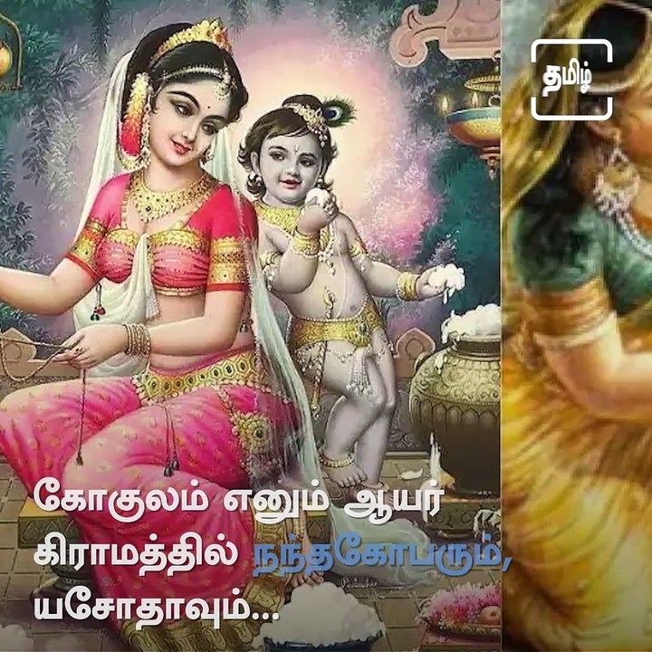 Today Is Gopalashtami, Feeding Cows And Doing Poojas Gives Good Deeds