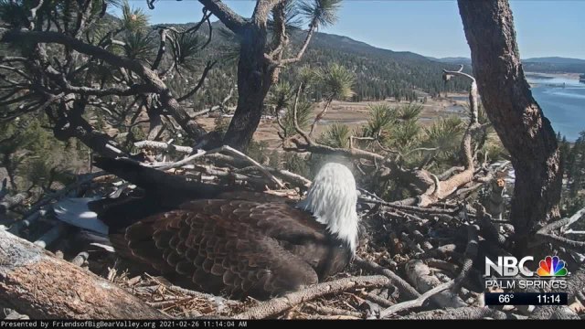 KMIR NEWS 11am 022621