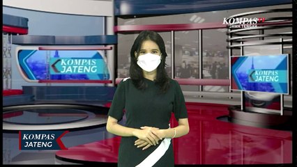 Astaga! Sapi Ngamuk, Anak Bupati Sleman Terlempar