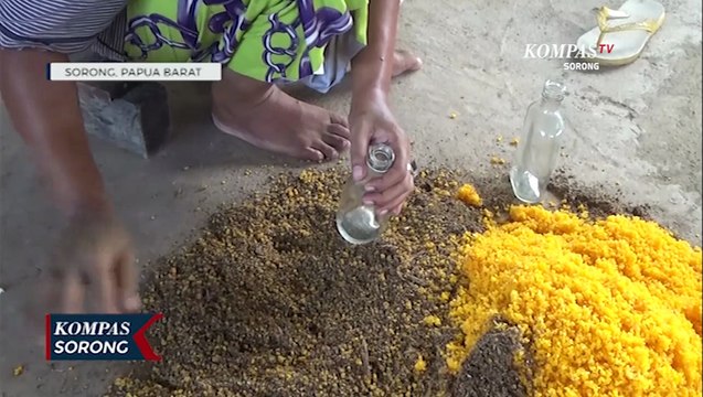 Produksi Jamur Tiram Anak Papua Di Sorong Kuasai Pasar