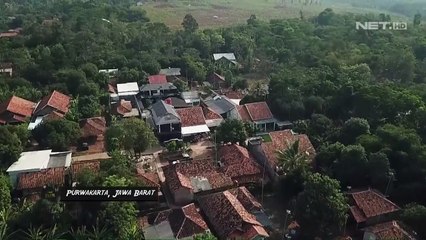 Kyubi!! Rubah Imut yang Punya Pendengaran Baik - Teman Panji