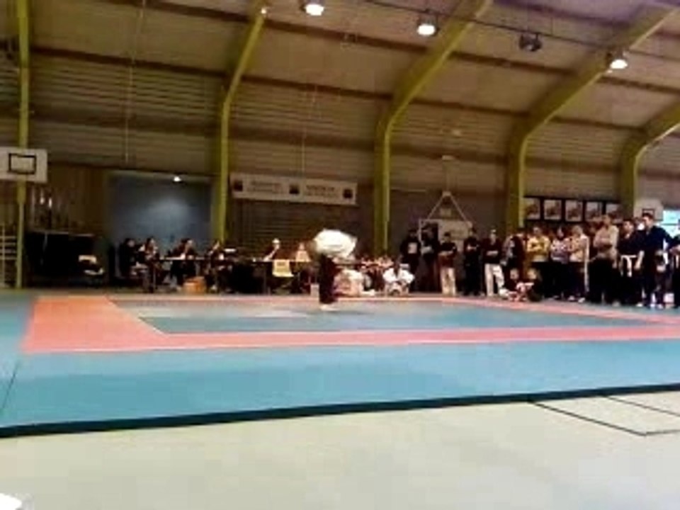 Allan Open de France 2008
