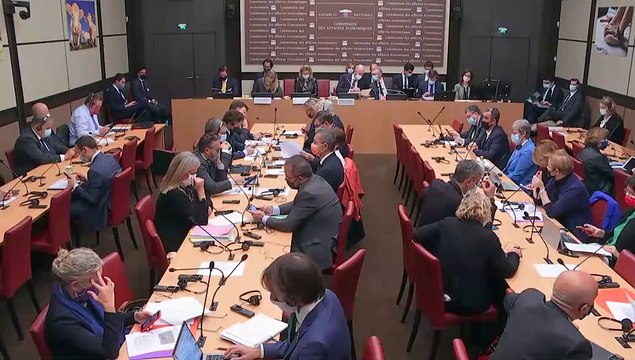 Commission des affaires économiques et Commission des lois : Mme Frances Haugen, ancienne cadre de Facebook et lanceuse d’alerte. - Mercredi 10 novembre 2021
