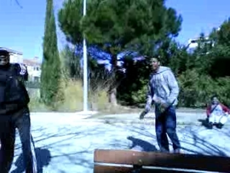 2Singes Au Bahut