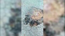 Internauta reclama de buracos no asfalto no Bairro Alto Alegre
