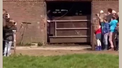 Unbelievable Moments That Will Brighten Your Day ✨