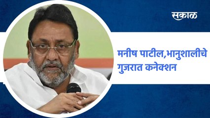 Mumbai ; मनीष पाटील, भानुशालीचे गुजरात कनेक्शन", नवाब मलिक ; पाहा व्हिडीओ