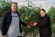 Kaplıca suyuyla büyüyen domatesler 10 ülkeye ihraç ediliyor