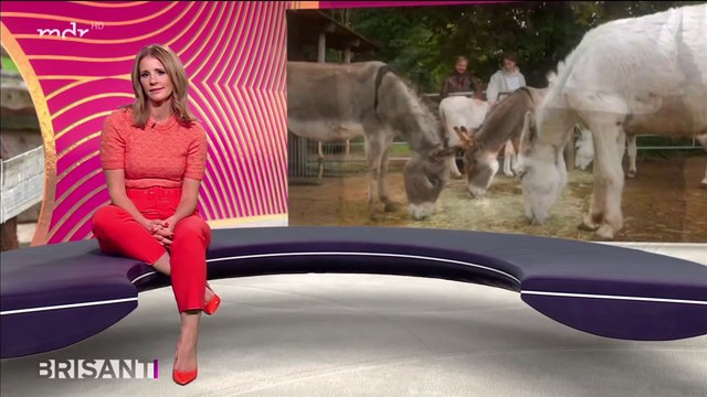 Mareile Höppner 10.11.2021