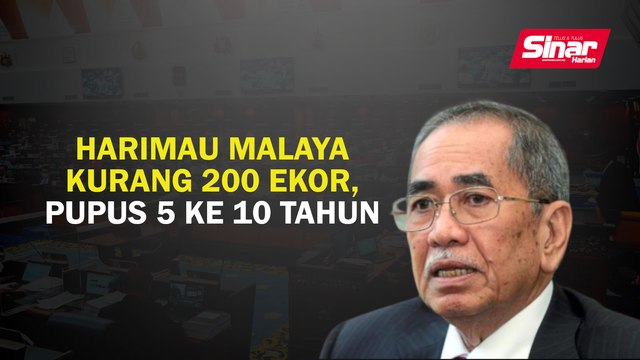 Harimau Malaya kurang 200 ekor, pupus 5 ke 10 tahun