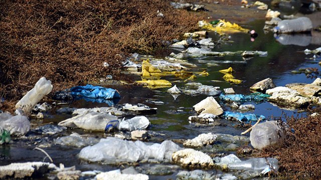 Edirne’de çevrecileri hareket geçiren görüntü