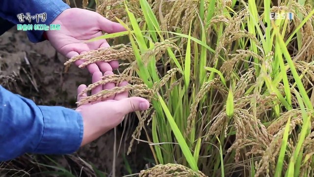 한국기행 - Korea travel_마음이 이끄는 대로 4부- 강이 전하는 이야기_#001