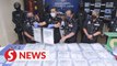 Police bust drug ring using frozen fish to export their 
