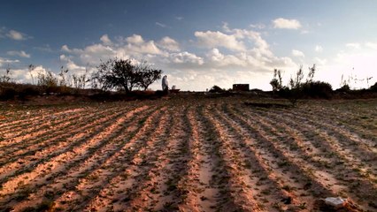Tilo Koto Bande-annonce VO (2021) Sophie Bachelier, Valérie Malek