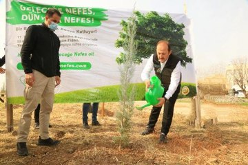 ŞIRNAK'TA 2 YILDA 250 BİN FİDAN DİKİLDİ