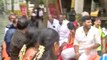 Chennai: Bride, groom & guests evacuated via boat as heavy rain inundates wedding venue
