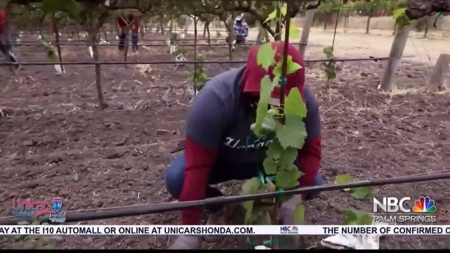 Coachella Valley advocates for farmworkers say 'Enough is enough'