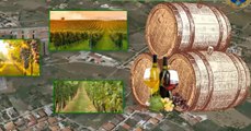 Partinico (PA) - Bancarotta fraudolenta di azienda vitivinicola: arrestato imprenditore (11.11.21)
