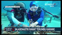 Jalasenastri Rawat Terumbu Karang